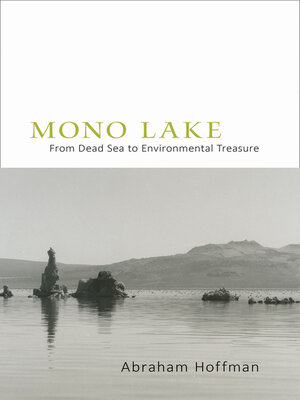 cover image of Mono Lake